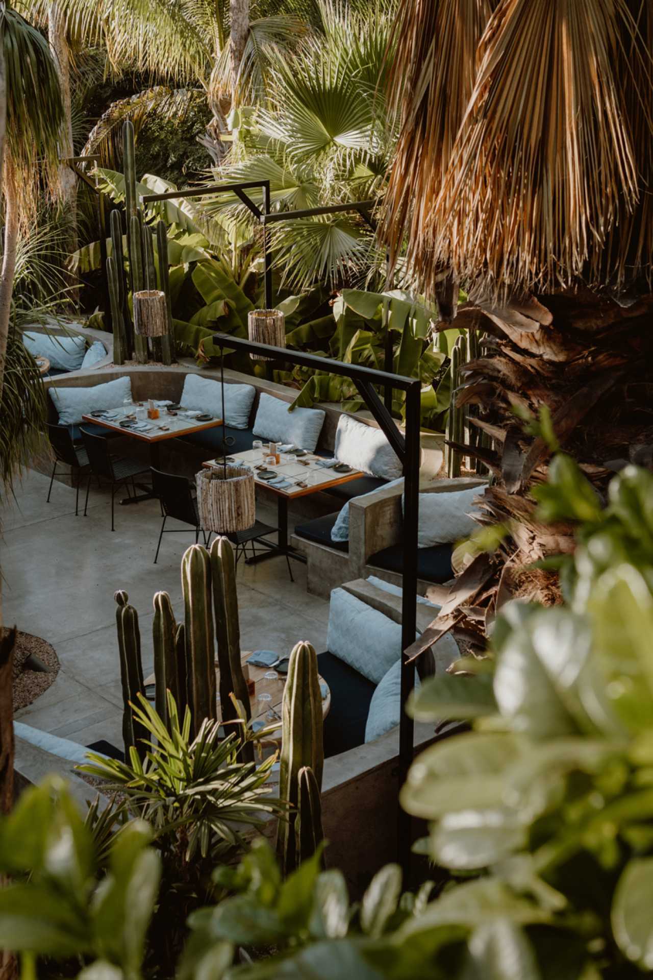 Los Cabos | A view between foliage at Acre, a farm-to-table restaurant in San Jos&eacute; del Cabo, Mexico