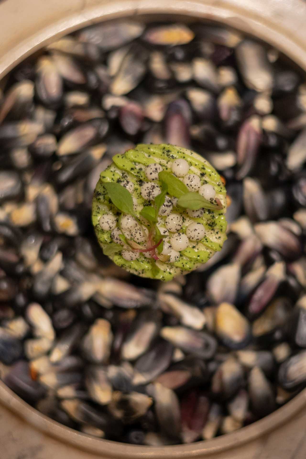 Los Cabos | One of the dishes from the multi-course dinner at Cocina de Autor, inside the Grand Velas Resorts, which has one Michelin star