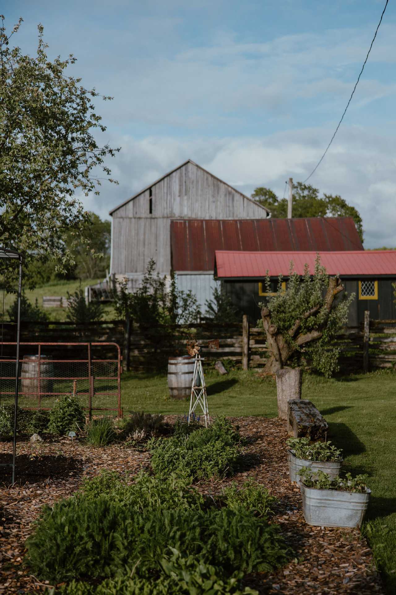 Grey County | The farm at Down Home in Grey County