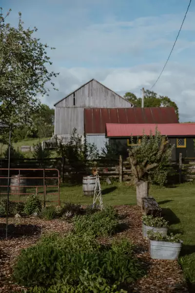 Grey County | The farm at Down Home in Grey County