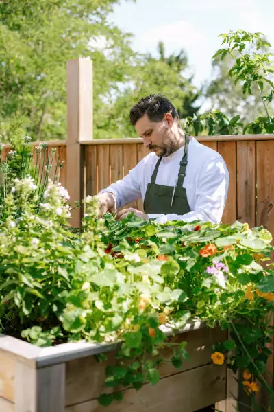 The Pine | Chef Jeremy Austin in the garden