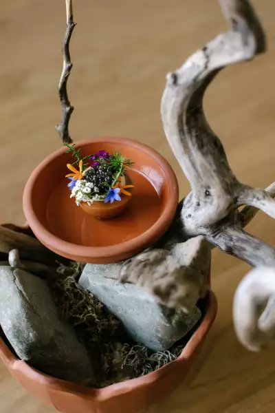 The Pine | Tea Egg
