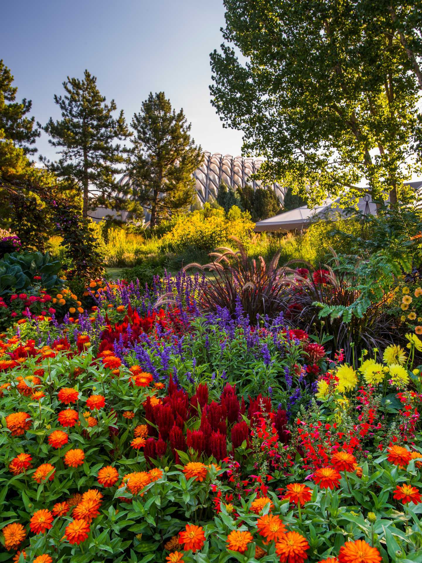 Denver, Colorado | Flowers in the Denver Botanic Gardens