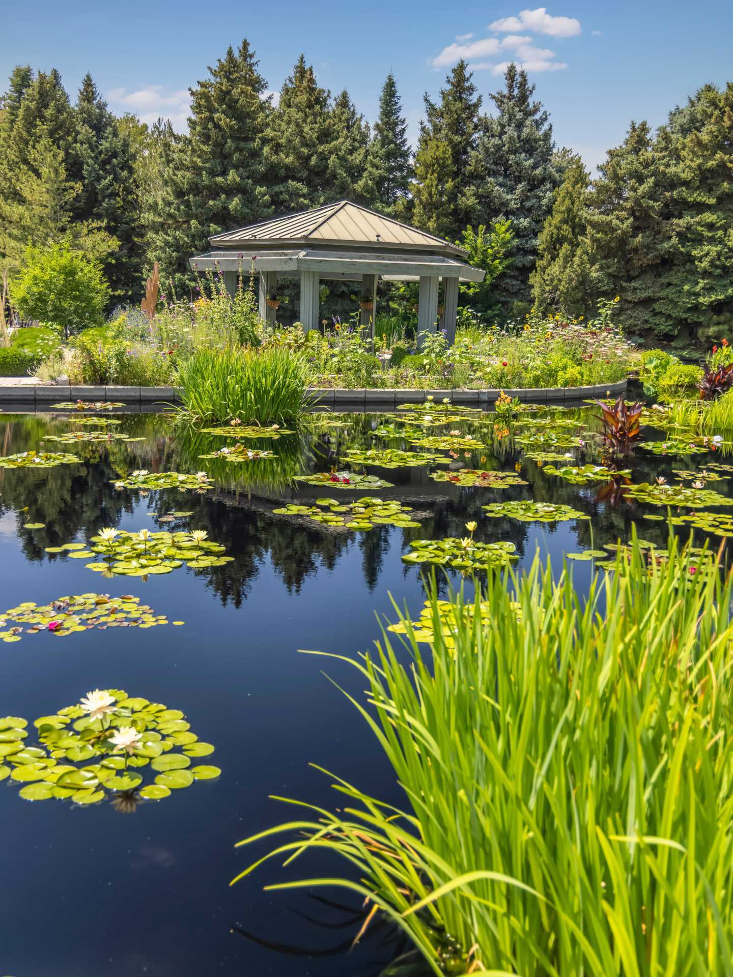 Denver, Colorado | The Monet Pool at Denver Botanic Gardens