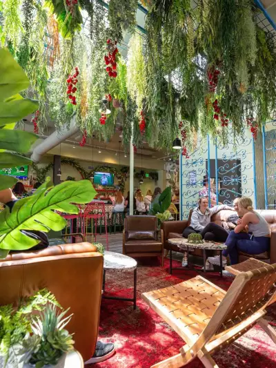 Denver, Colorado restaurants | Inside Mister Oso, a Michelin Bib Gourmand restaurant