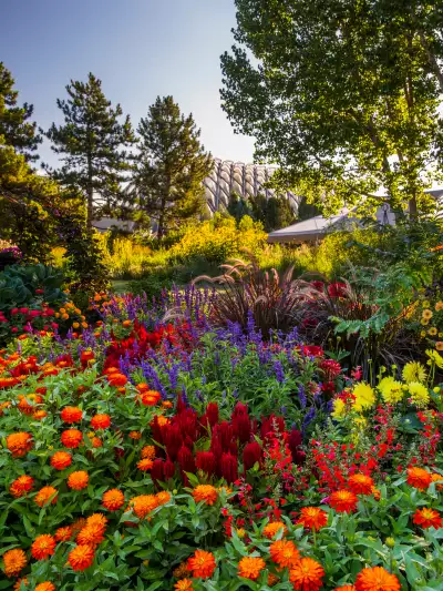 Denver, Colorado | Flowers in the Denver Botanic Gardens