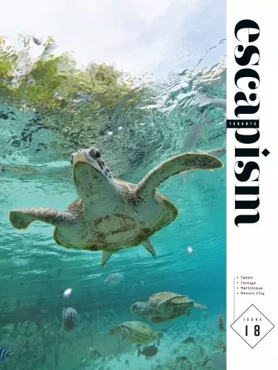 The Wanderlust Issue cover