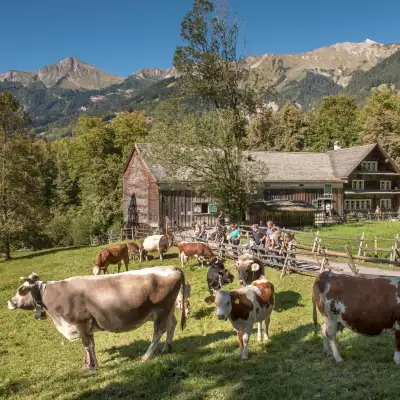 Switzerland Swiss Travel Pass | Ballenberg Open Air Museum
