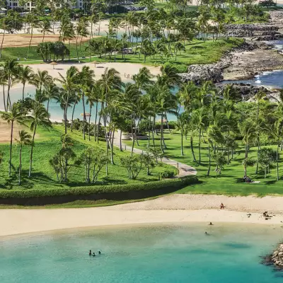 Palm trees swaying in the wind in Hawaii