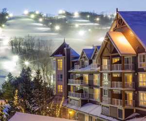 The best restaurants things to do in Collingwood | Blue Mountain Ski Resort