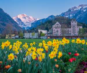 Flowers and mountains flank the town of Interlaken, Switzerland
