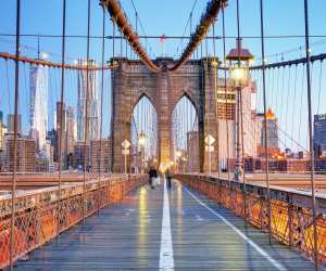 Winging It: Brooklyn, New York