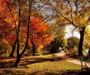Fall road trip to Stratford, Ontario