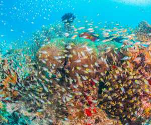 The best snorkel spots around the world