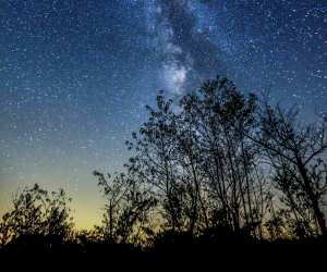 Toronto day trips | Stargazing in Muskoka | Shutterstock/Ping Ye