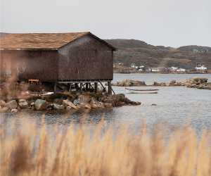 A Rising Tide: A Cookbook of Recipes and Stories from Canada's Atlantic Coast