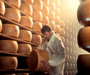 Wheels of Parmigiano Reggiano in Parma, Italy