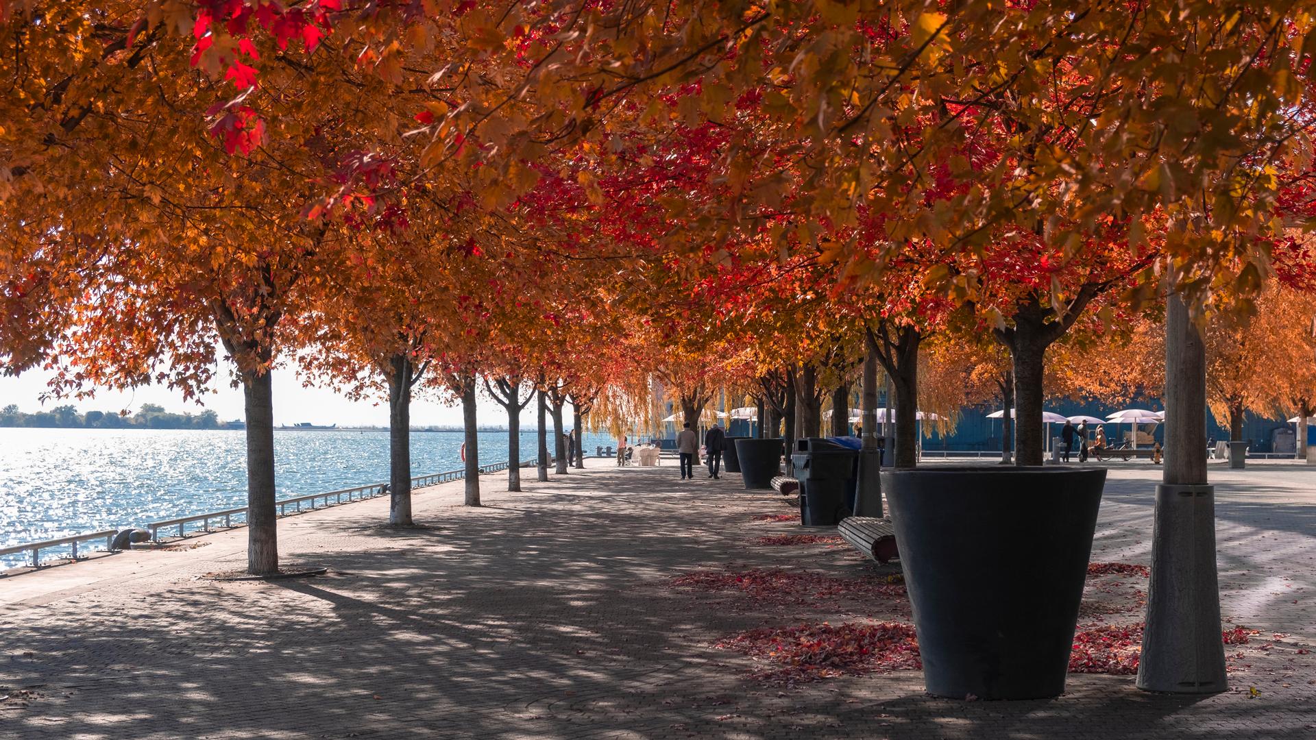 best walking trails toronto