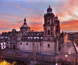 Winging It: Mexico City