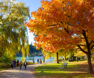 The best walking trails in Toronto | High Park in the fall