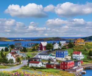 Colourful houses in Trinity, Newfoundland