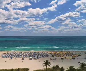 Miami Beach guide