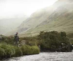 Fish Out of Water: Ireland in Photos