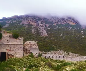 Montecristo, Italy photo