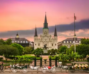 Winging It: New Orleans, LA