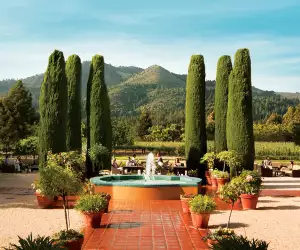 California vineyards