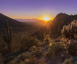 Tuscon, Arizona guide