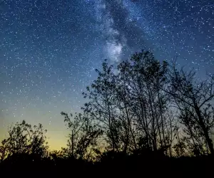Toronto day trips | Stargazing in Muskoka | Shutterstock/Ping Ye