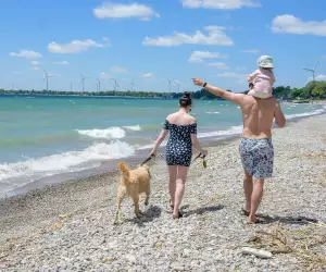 Niagara Peninsula Watershed | Long Beach