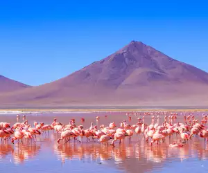 Laguna Colorada, red salt lake near Uyuni, Bolivia