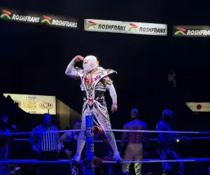 A lucha libre fighter poses while standing on the ropes at an arena in Mexico City